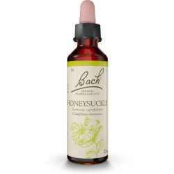 Fleurs de Bach Honeysuckle 20ml – Vivre l'instant présent