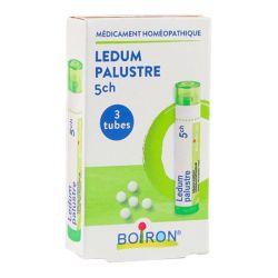 Boiron Ledum Palustre - Pack de 3 Tubes Granulés - 5CH