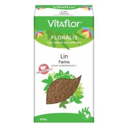 Vitaflor Farine de Lin Plante en Vrac 500 g