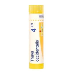 Boiron Thuya Occidentalis - Tube Granulés - 4CH