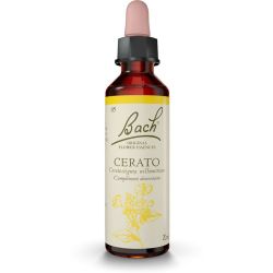 Fleurs de Bach Cerato 20ml – Confiance en son intuition