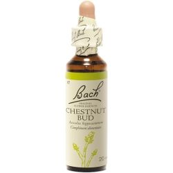 Fleurs de Bach Chestnut Bud 20ml – Apprendre de ses erreurs