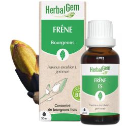 HerbalGem Frêne Bio 30ml – Souplesse articulaire et élimination