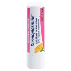 Boiron Dermoplasmine Stick Lèvres - Hydratant et Apaisant - 4g