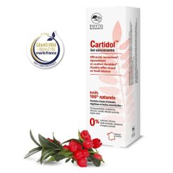 Phytoceutic Gel Cartidol 120ml - Soulage les douleurs articulaires et musculaires