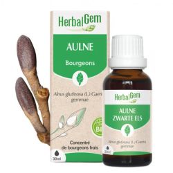 Herbalgem Concentré de Bourgeon d'Aulne Bio - 30ml