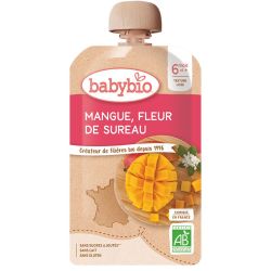 Babybio Gourde Purée de Fruits Mangue Fleur de Sureau +6m Bio - 120g