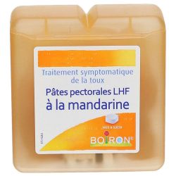 Pate Mandarine 70G