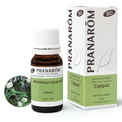 Pranarom Huile Essentielle Cajeput Bio 10ml – Confort respiratoire et immunite