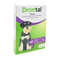 Drontal Chien - Vermifuge vers ronds et plats - 2 comprimés sécables