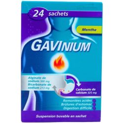 Reckitt Benckiser Gavinium – 24 Sachets de 10 ml