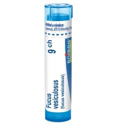 Boiron Fucus vesiculosus - Tube Granulés - 9CH