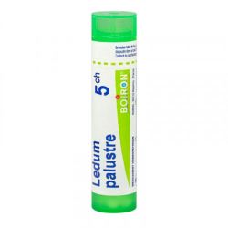 Boiron Ledum Palustre - Tube Granulés - 5CH