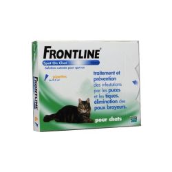 Frontline chat spot on 6 pipettes