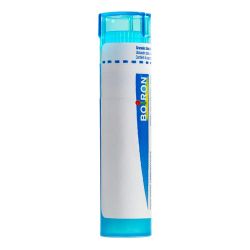 Boiron Rein Medullaire - Tube Granulés - 9CH