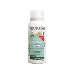 Pranarôm Spray Assainissant Ravintsara Tea Tree Bio - 75ml