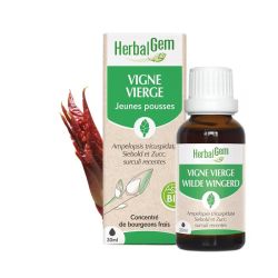 Herbalgem Concentré de Bourgeon de Vigne Vierge Bio - 30ml