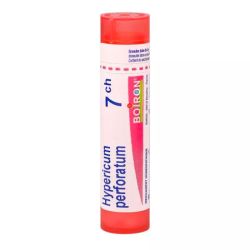 Boiron Hypericum Perforatum - Tube Granulés - 7CH