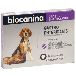 Biocanina Gastroentericanis 400mg 20 comprimés Chien & Chat - Affections gastro-intestinales
