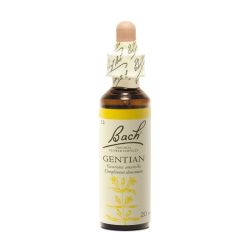 Fleurs de Bach n°12 Gentian - Gentiane 20ml