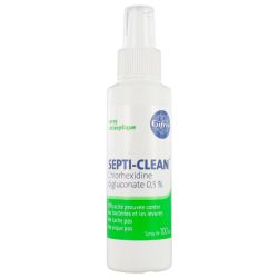 Gifrer Septi-Clean Spray Antiseptique - 100 ml - Désinfection cutanée qui ne pique pas