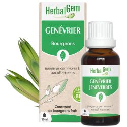 HerbalGem Genévrier Bio 30ml – Détox et confort articulaire