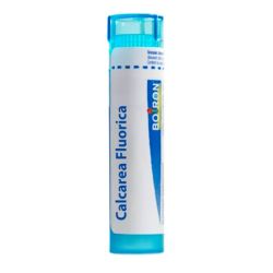 Boiron Calcarea Fluorica - Tube Granulés - 9CH