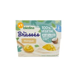 Blédina Brassés 100% Végétal - Mangue au lait de coco - Lot x4