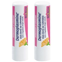 Boiron Dermoplasmine Stick à Lèvres au Calendula Bio Lot de 2 x 4g