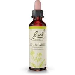 Fleurs de Bach Mustard 20ml – Lumière et stabilité intérieure
