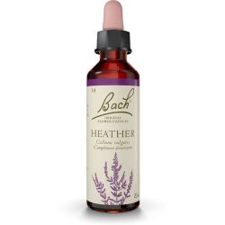 Fleurs de Bach Heather 20ml – Écoute et ouverture aux autres