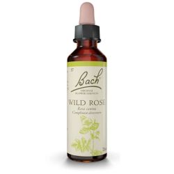 Fleurs de Bach Wild Rose 20ml – Motivation et joie de vivre