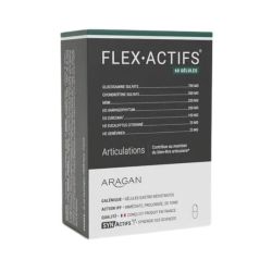 Aragan SynActifs FlexActifs Articulations - 60 Gélules