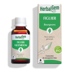 HerbalGem Figuier Bio 30ml – Estomac et sérénité