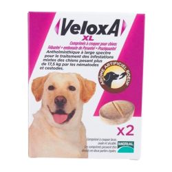 Veloxa XL Vermifuge Chien - Plus de 17,5kg - Goût Boeuf - Infestations Mixtes - 4 comprimés