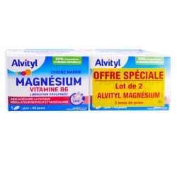 Alvityl Magnésium Vitamine B6 -  Réduit la Fatigue - Lot de 2 x 45 comprimés