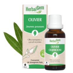 Herbalgem Concentré de Bourgeon Olivier Bio - 30ml