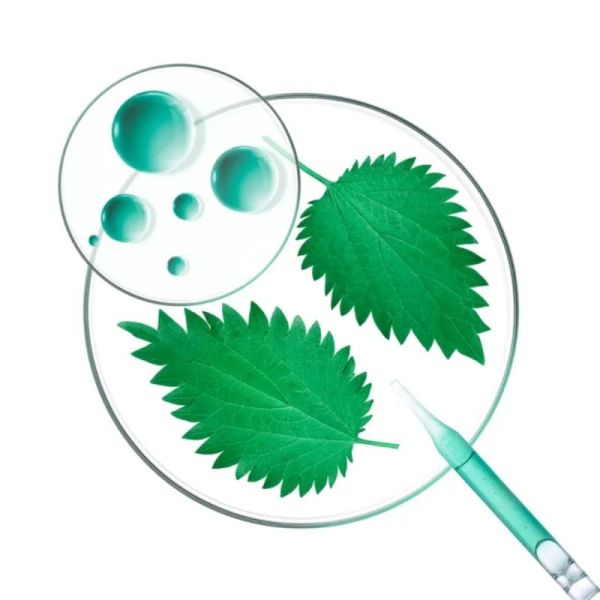 Klorane Shampoing Sec Purifiant Teinté à l'Ortie et Vitamine E 150ml - Purifie et nettoie instantanément les cheveux gras bruns sans eau