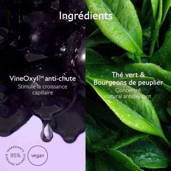 Caudalie Shampoing Densité & Volume 200ml - Restaure le volume et densifie les cheveux fins