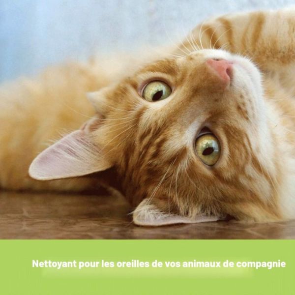 Elanco Surosolve Nettoyant Auriculaire Chien et Chat 125 ml – solution douce pour des oreilles propres et saines