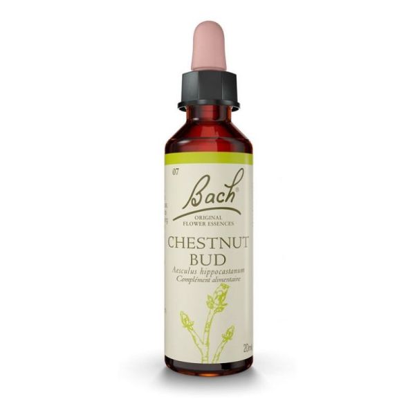 Fleurs de Bach Chestnut bud n°7 20 ml