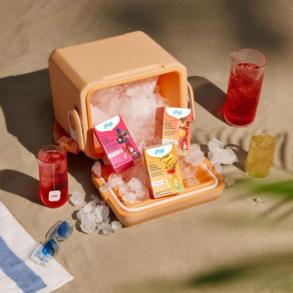 Yogi Tea Infusions À Froid Pêche Mangue Bio 15 Sachets – Détente et exotisme