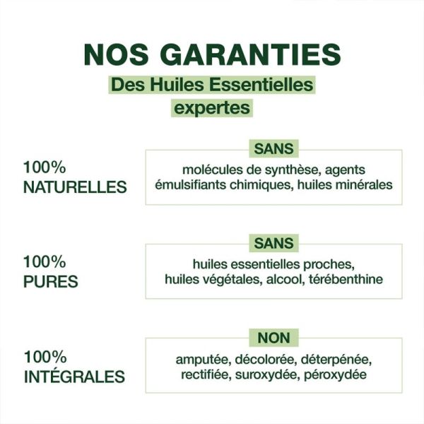 Pranarôm Aromapic Roller Corporel Répulsif Anti-Moustiques & Tiques 75ml – Protection familiale longue durée
