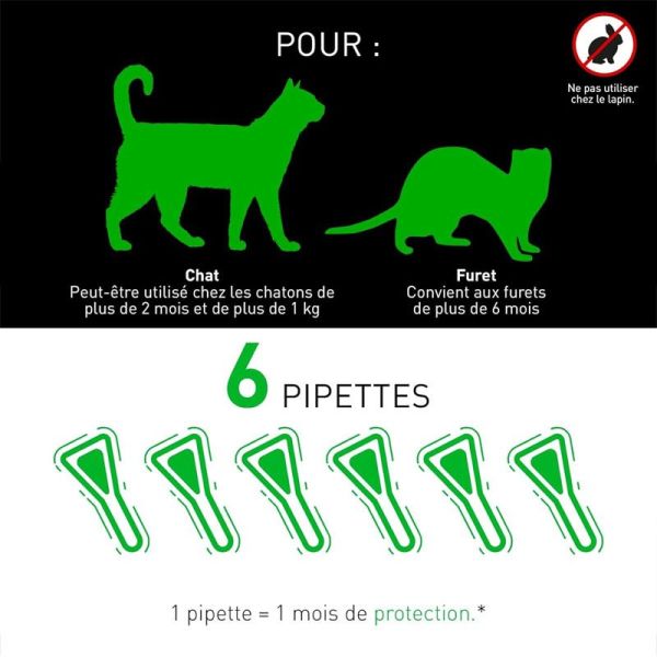 Frontline Combo Chats et Furets 6 Pipettes - Anti-puces, tiques et poux