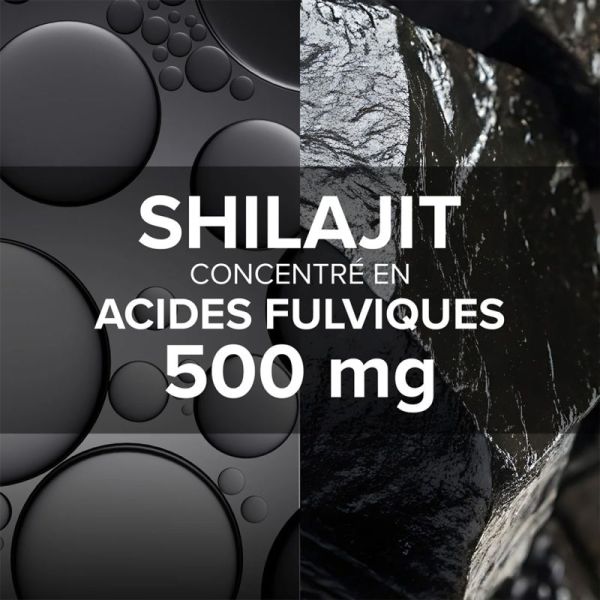 Arkopharma Arkogélules Shilajit 60 Gélules – Énergie et vitalité cellulaire