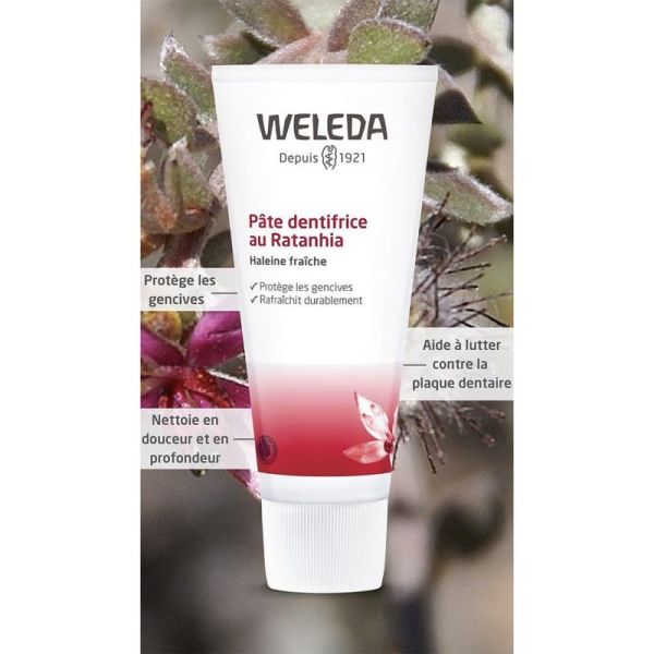 Weleda Pâte Dentifrice au Ratanhia 75ml – Fraîcheur et protection gencives