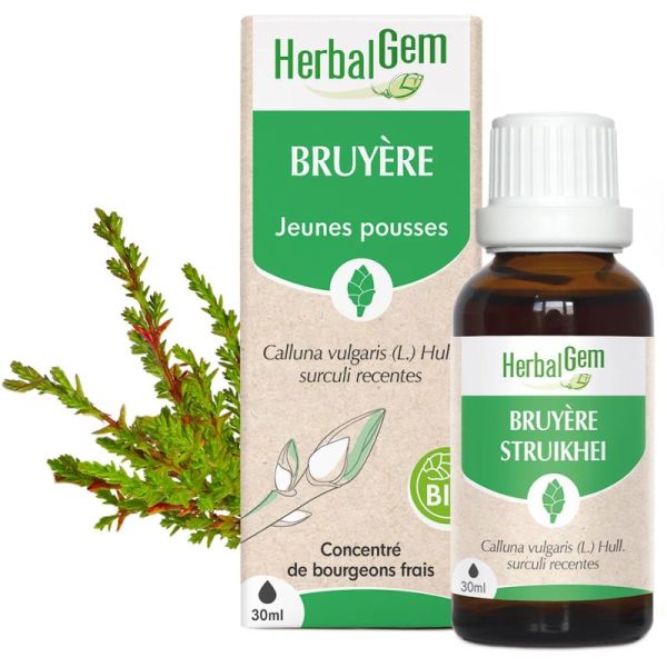 HerbalGem Bruyère Bio 30ml – Voies urinaires et confort articulaire