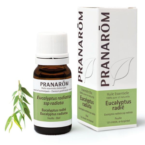 Pranarom Eucalyptus radié 10 ml