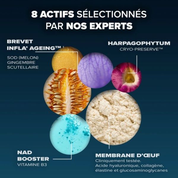 Arkopharma Santé Longévité Capital Articulaire 60 gélules - Préserve le capital musculaire et articulaire