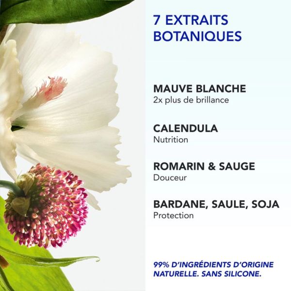 Phyto 7 Elixir Crème de Jour Universelle - 100ml - Nourrit intensément et discipline les cheveux secs